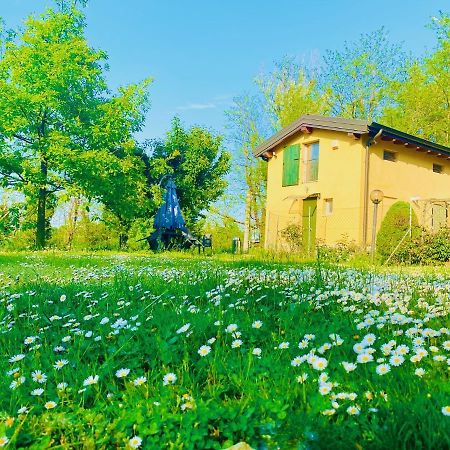 B&B Nido Sui Laghi San Donnino della Nizzola Exteriér fotografie